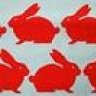 RedRabbits