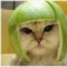 Snee Kee Fahk
