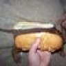 Trazor
