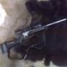 Atlantic_shootist