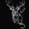 CrazyHuntingCountryBoy