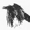 raven