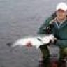 Salmo