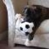 PIECE Keeper