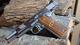 Tailgater1911