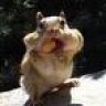 Nut.