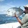 Billabong