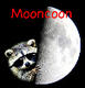 mooncoon