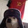 Bobyochen