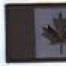 StiggyPalgrave
