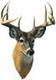 Crossbuck