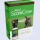 sgt_scarecrow