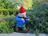 Gnome75