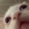 Overwatch3985