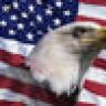 TheAmerican