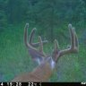 Triple R Ranch