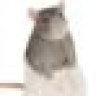 Ratical