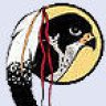 Range Officer Hawk