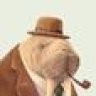 TheSlipperyWalrus