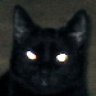 Gattonero