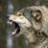 SabreWolf