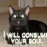 Satan's Kitten