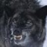 Beawolf