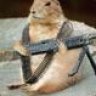 Mrgunnutz