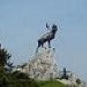 northstar
