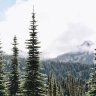 OutdoorsFirst