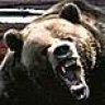 Grizzledken