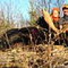 wild game processing