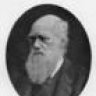 Jerrett