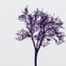 tplumtree