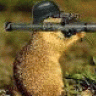 Headshot