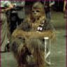 TheYeti