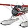 Flying Beaver