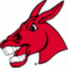 mule44