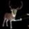 weaselsrippedmyflesh