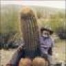 cowboy clay
