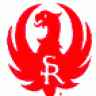 ruger300