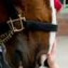 Clydesdale™