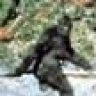 troutfinger