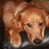 Doug2009