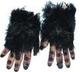 harryhand