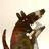 junkdog