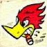 woodpecka