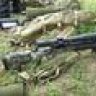 rich308