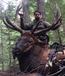 monster bow