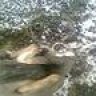 wilsy